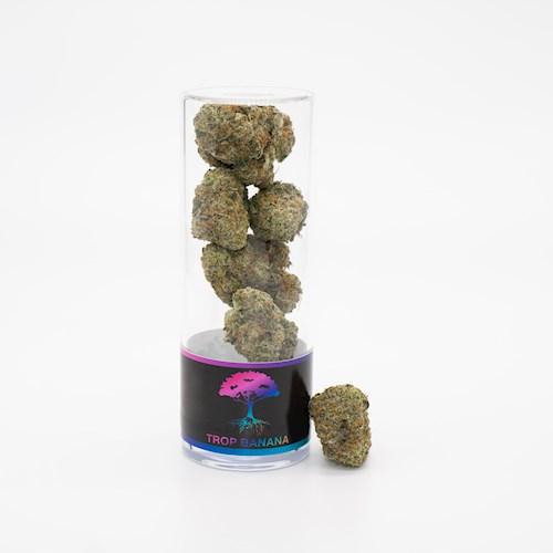 Photograph of product: BR Trop Banana (Hybrid) - 14g
