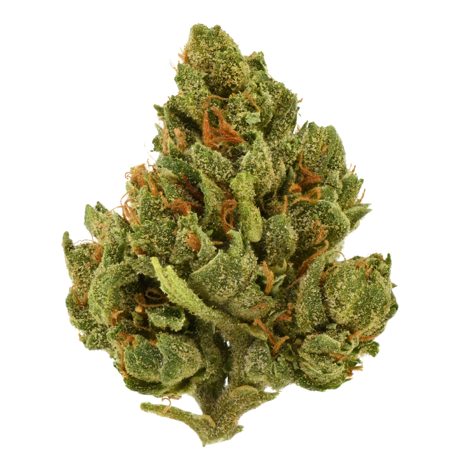 Photograph of product: SSL Flower - Wizmo - 28g