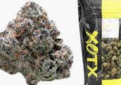 Photograph of Product: XOTX - Lemon Cherry Gelato - 14g