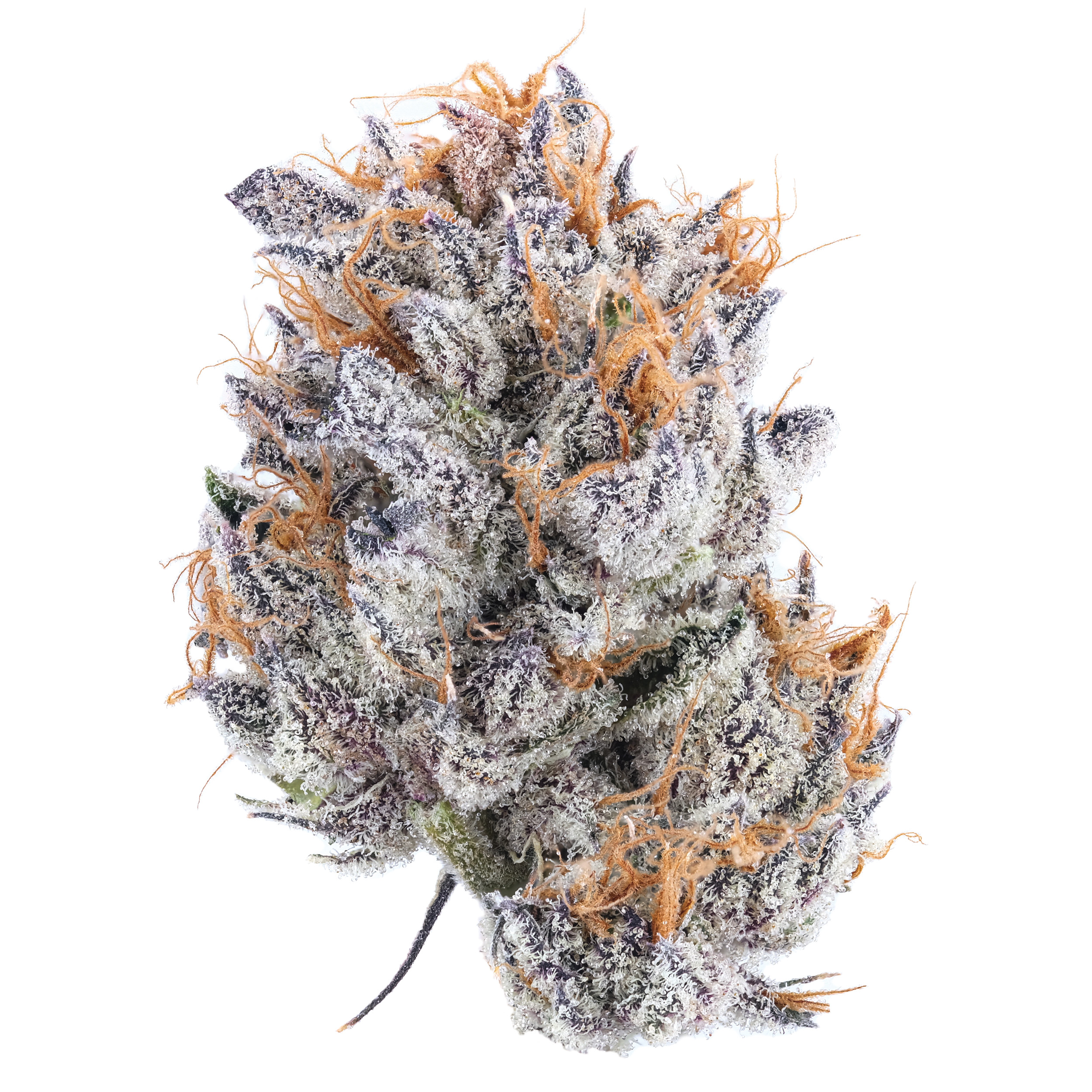 Photograph of product: Do-Si-Dos - 3.5g