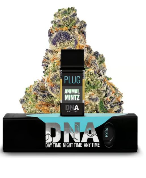 Photograph of product: PLUG PLAY | Animal Mintz Pod
