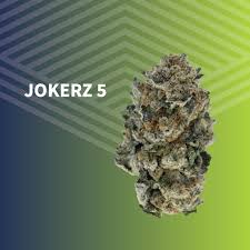 Photograph of product: Jokerz 5 Whole Flower - 3.5g