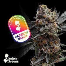 Photograph of product: Garden Greens l Rainbow Mochi l 3.5g