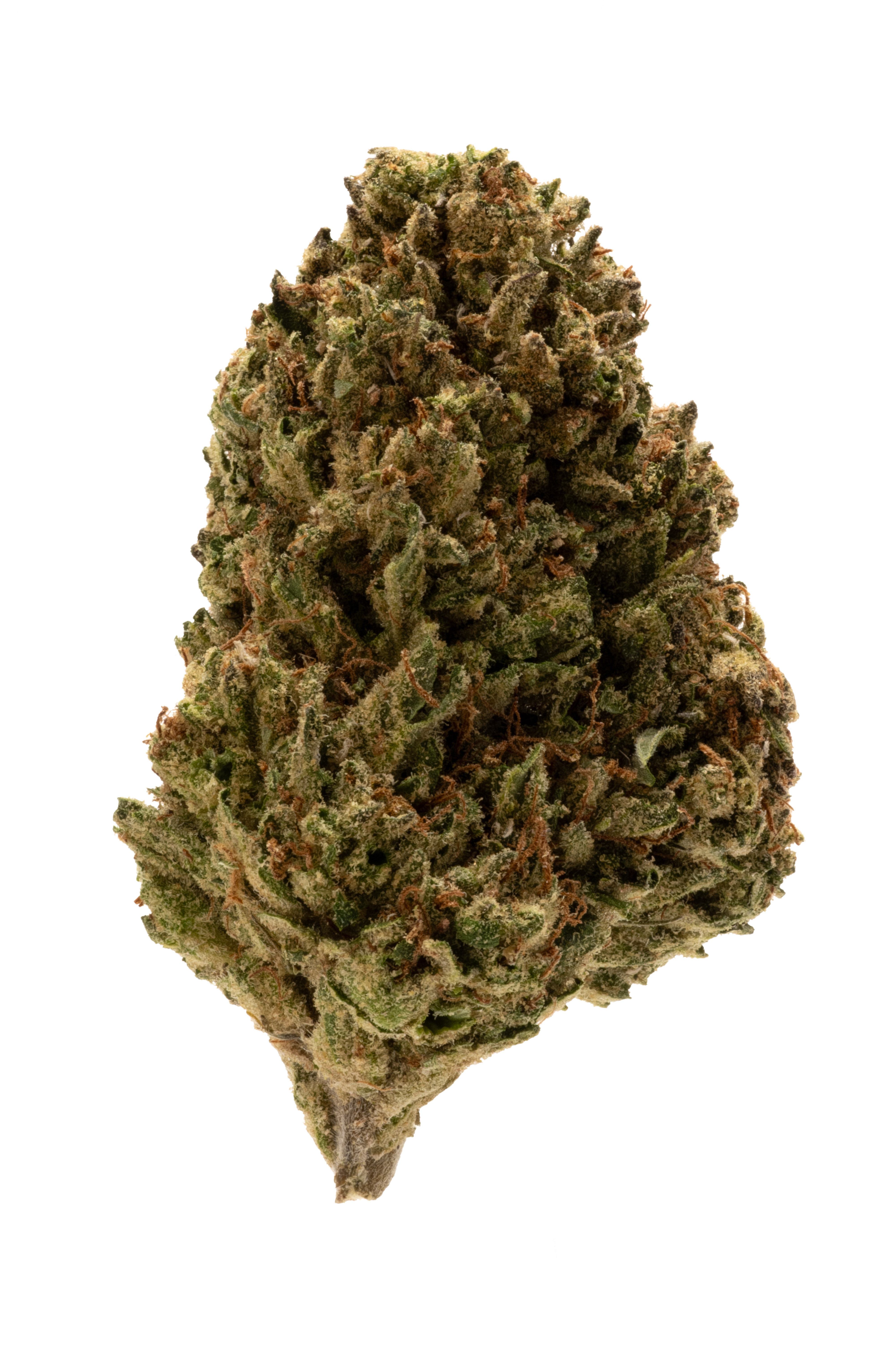 Photograph of product: Day Dream (SH) - Flower - 28g