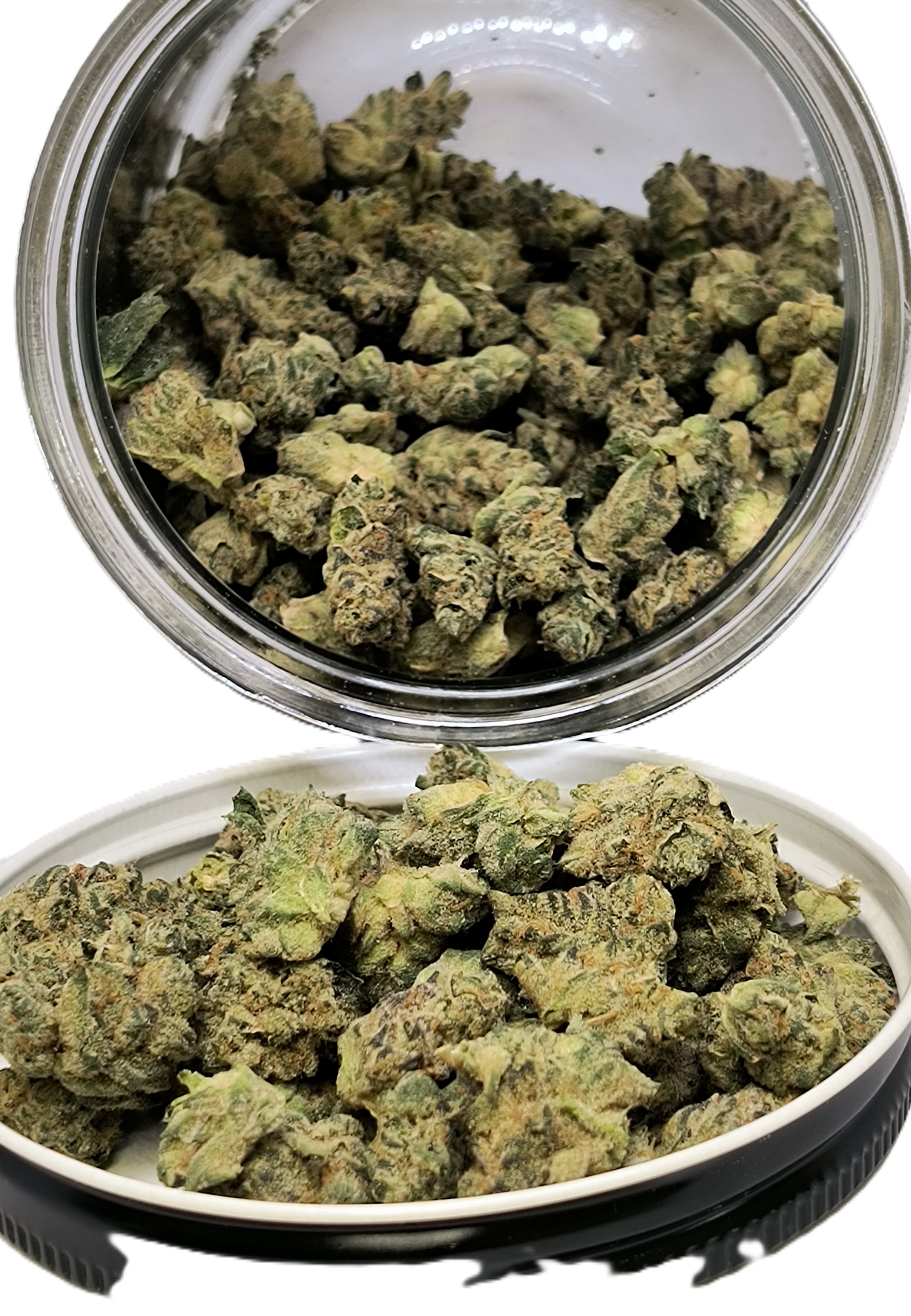 Photograph of product: Zookies Jar Small Buds | Satori - 28g