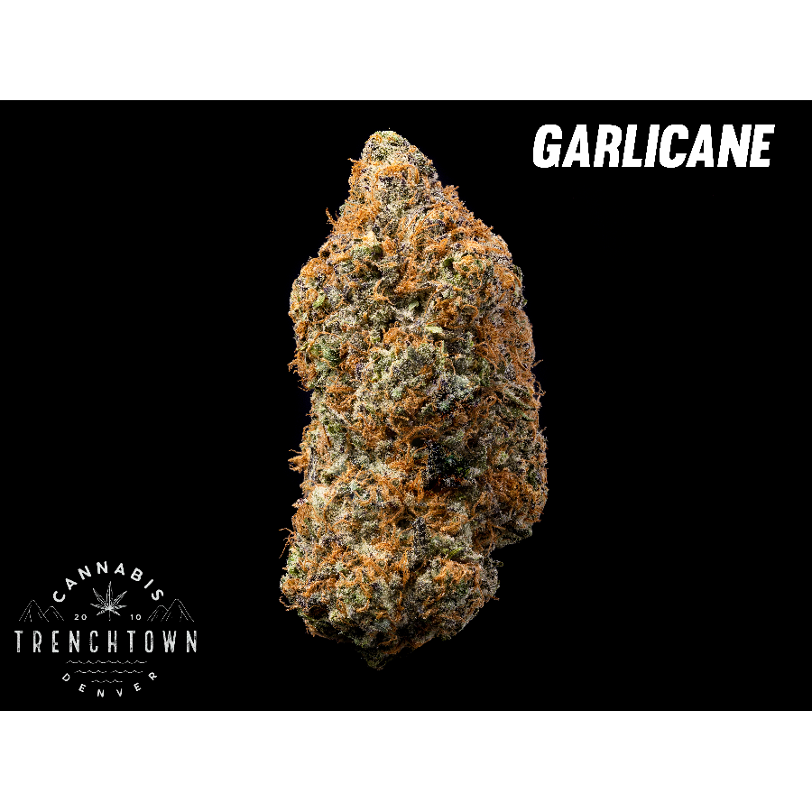 Photograph of product: Garlicane Rec - REC - Bulk - 28g