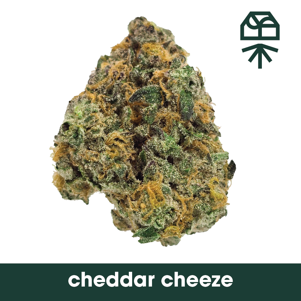 Photograph of product: Cheddar Cheeze Whole Flower - 3.5g