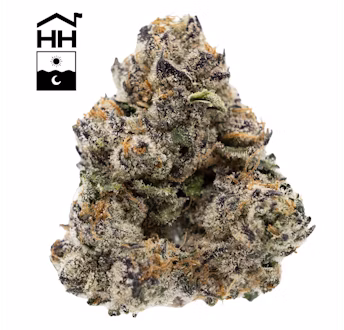 Photograph of product: BigDankLato | Flower | - 14g