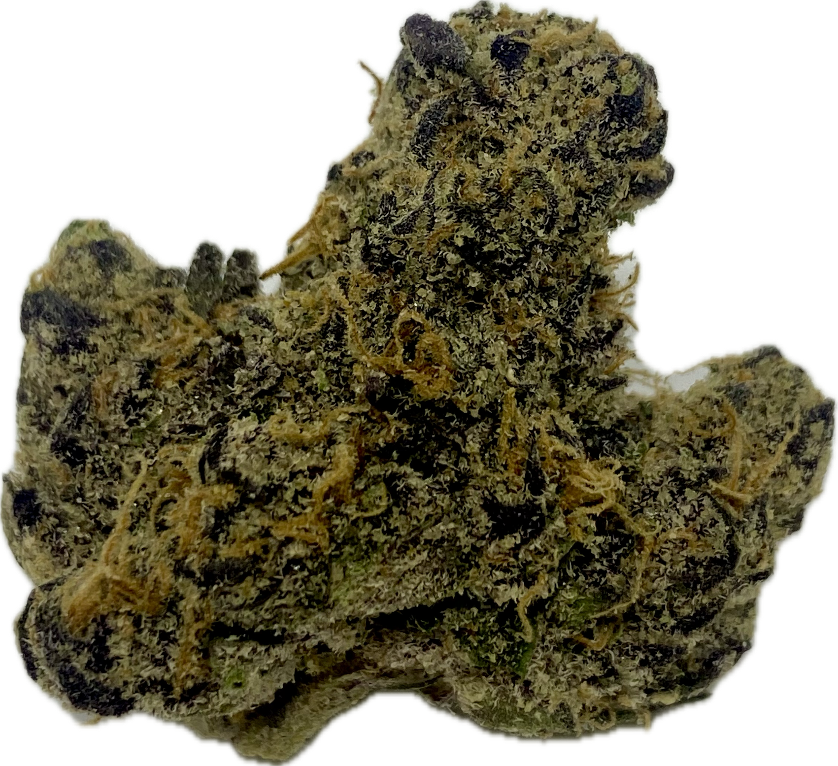 Photograph of product: Elysium -Count Chunkula - Bulk Flower - 1g