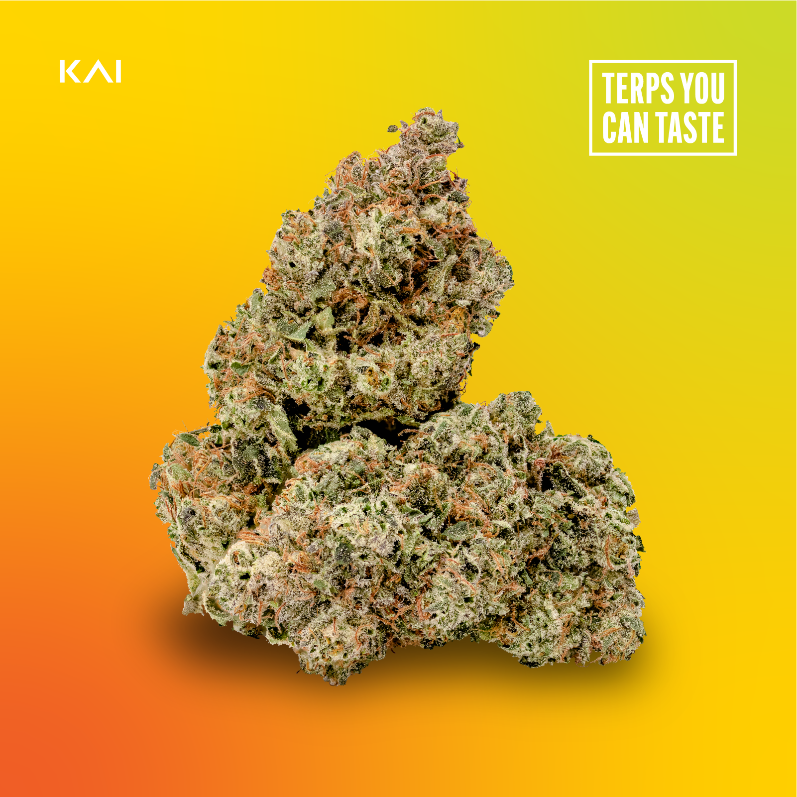 Photograph of product: KAI Oui'd Co. | Citrix | Bulk Flower - 28g