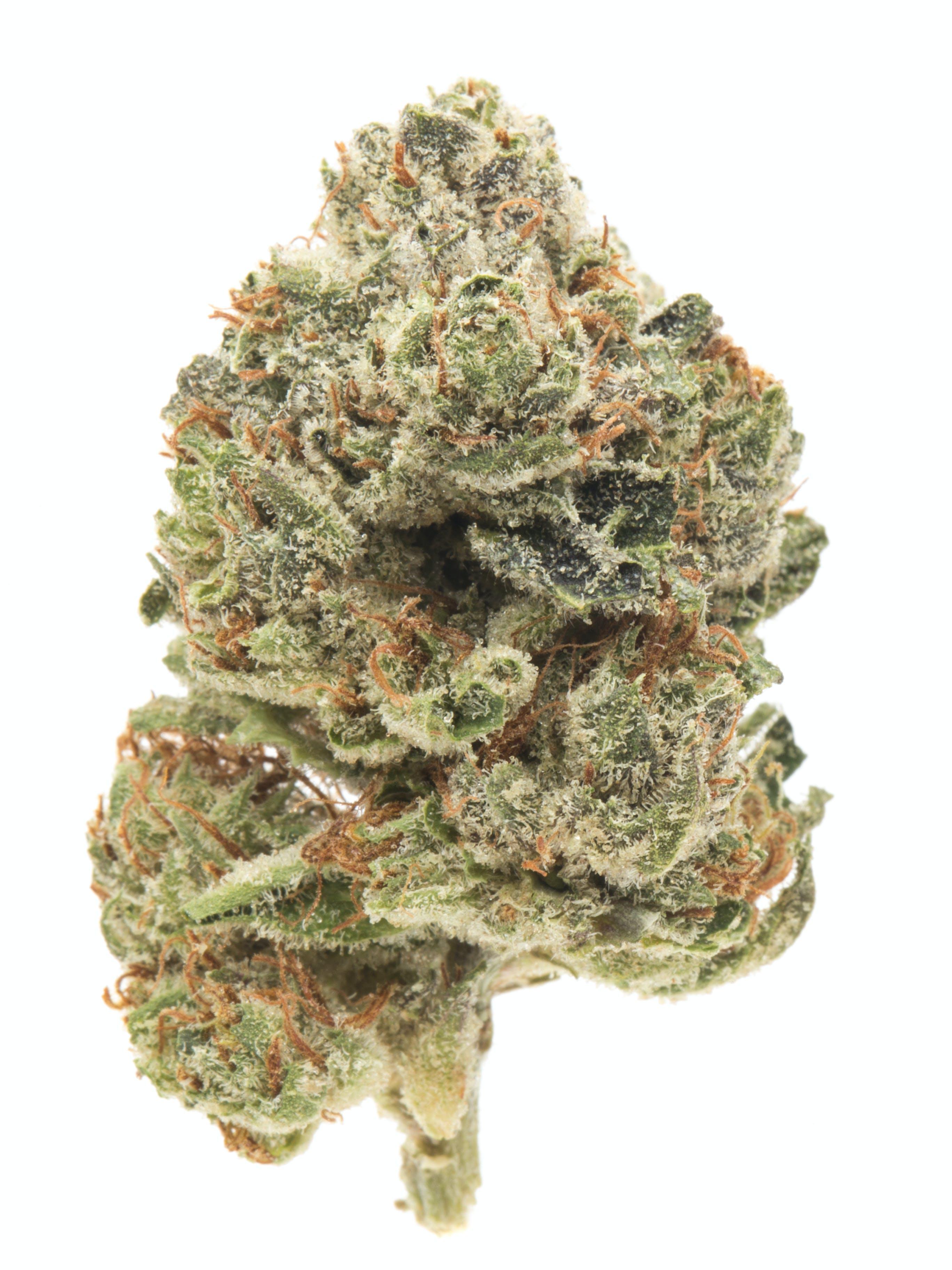 Photograph of product: Rare Dankness: Electrolime Buds - 28g