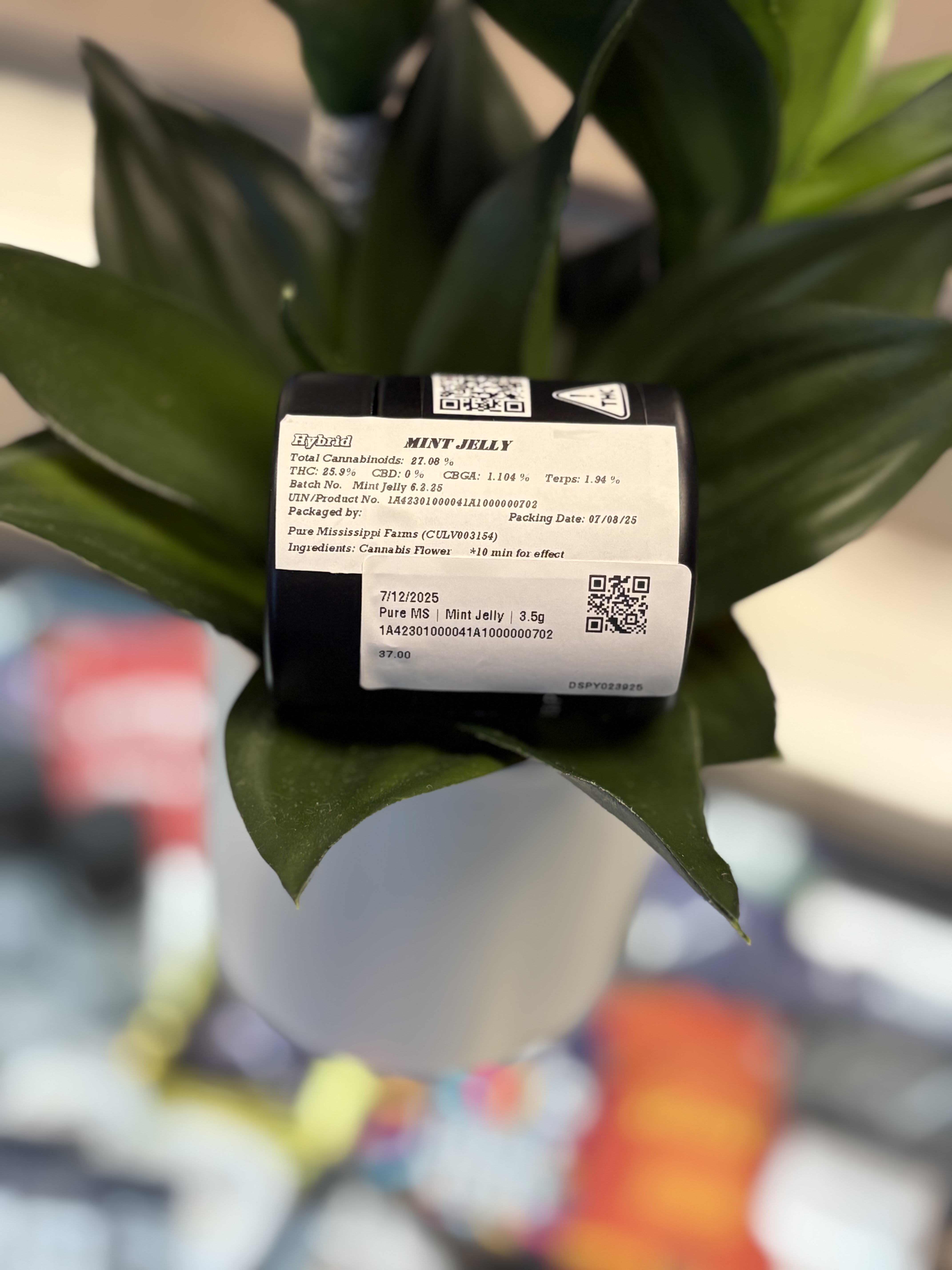 Photograph of product: Pure MS | Mint Jelly | 3.5g