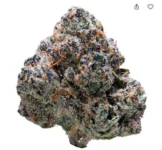 Photograph of product: XOTX Jet Fuel Gelato - 28g