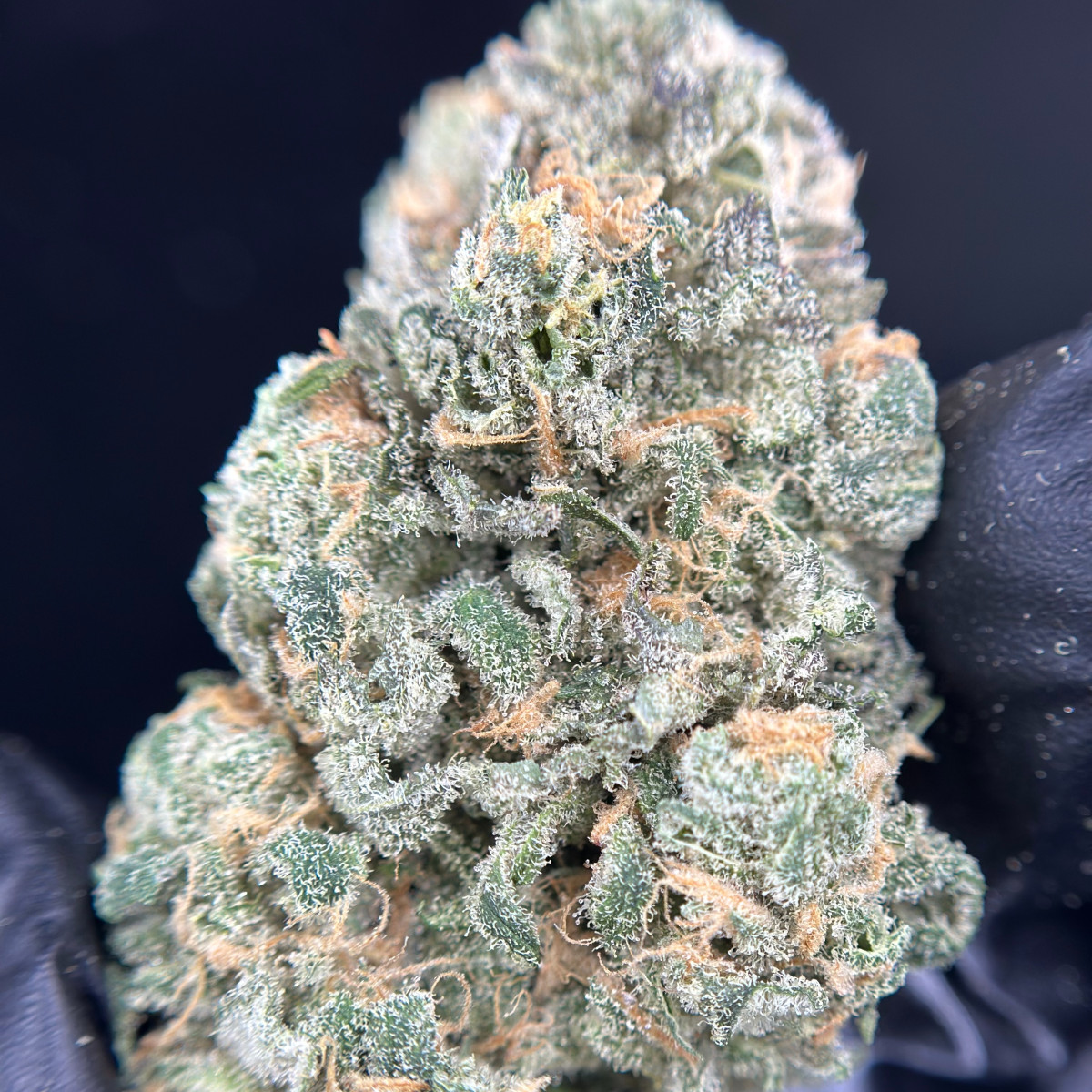Photograph of product: Green Lightning / Blueberry 7g