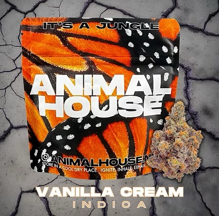 Photograph of product: Animal House | Vanilla Cream | Flower | 3.5g