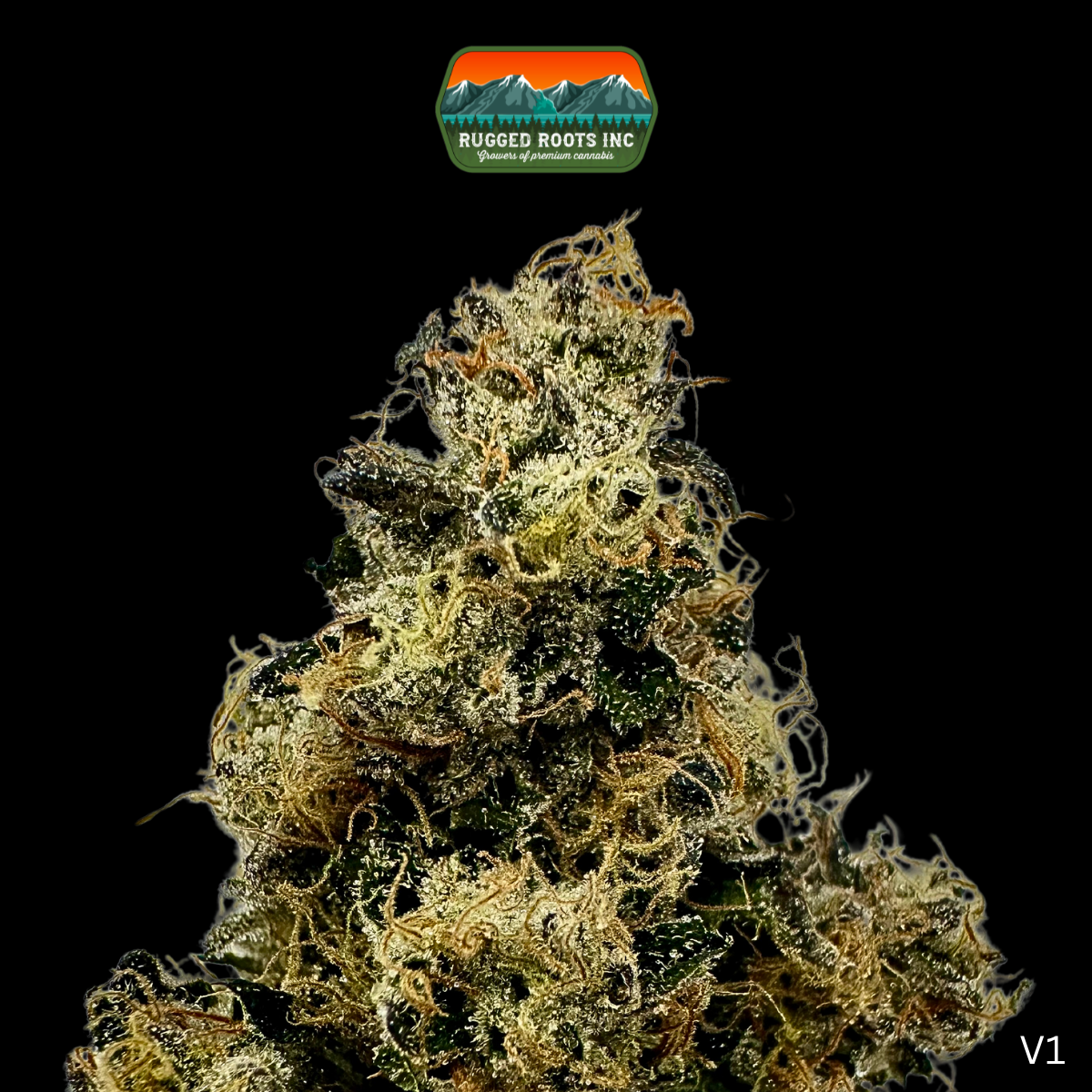 Photograph of product: Rugged Roots | Sherbanger #22 3.5g