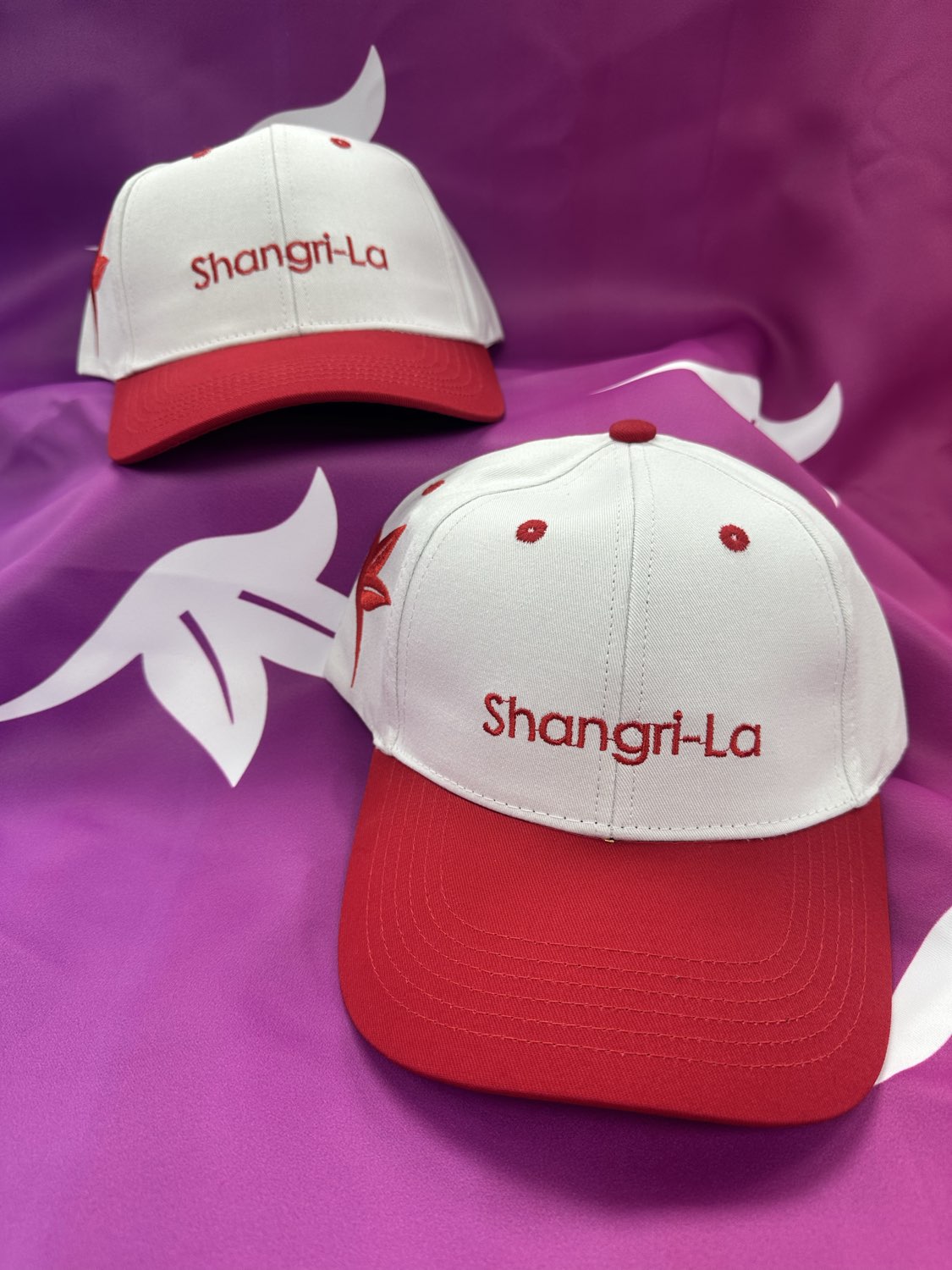 Photograph of product: Shangri-La White with Red Thread Snapback/Red Curved  Bill Hat