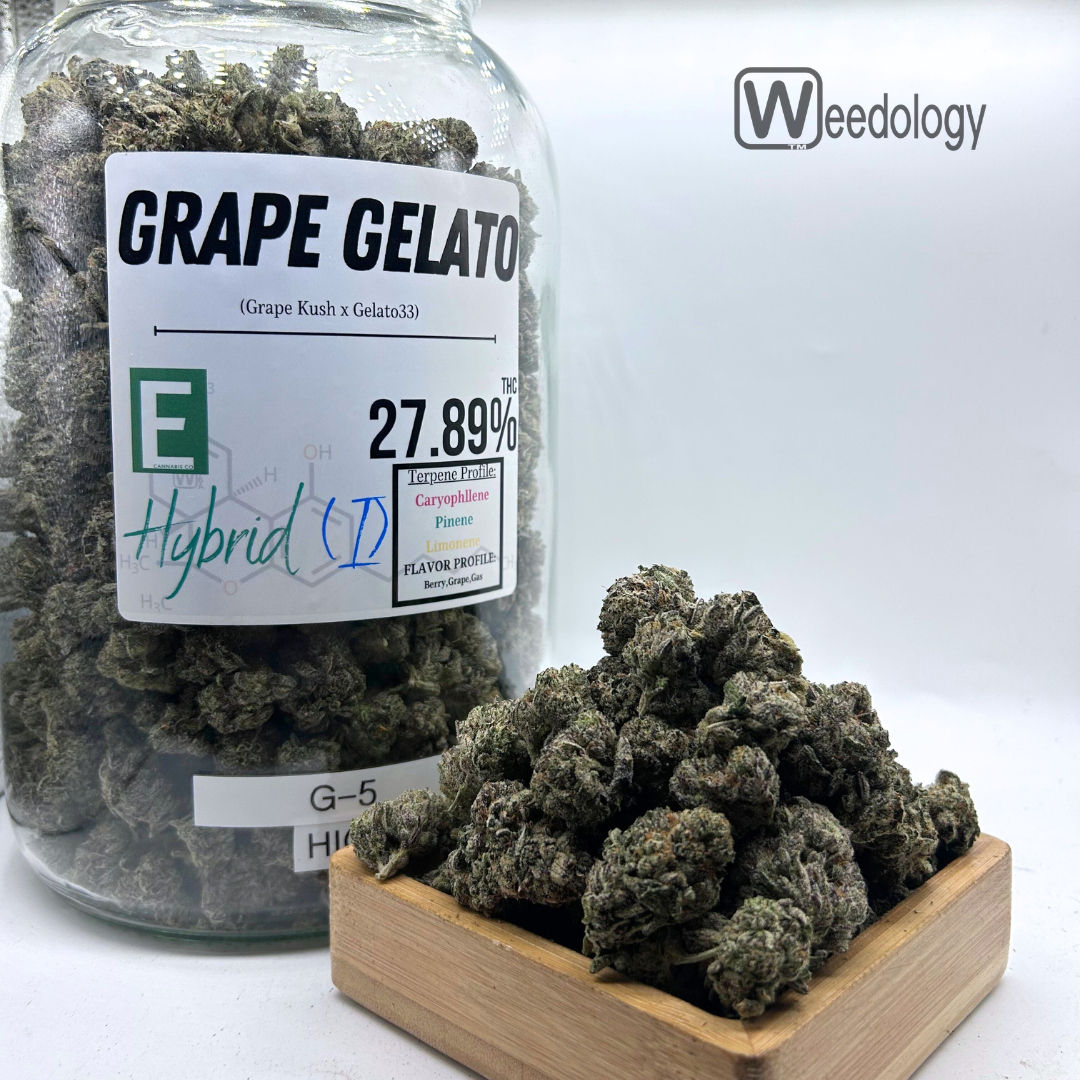 Photograph of product: Grape Gelato (I-H) - 28g