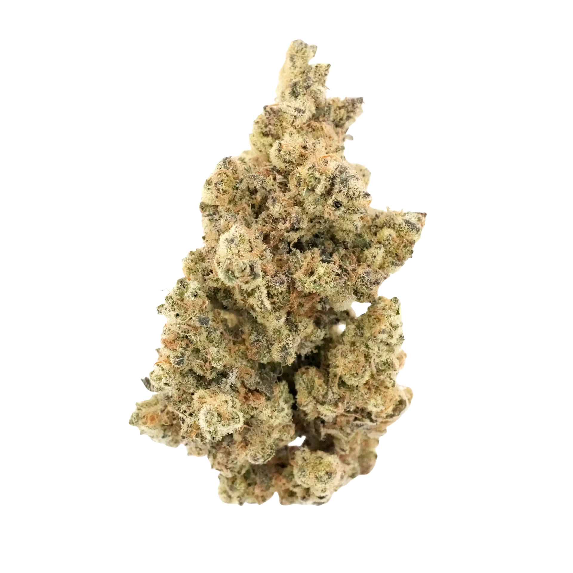 Photograph of product: Bouket - Pina Loca - Premium Indoor Flower - 4g
