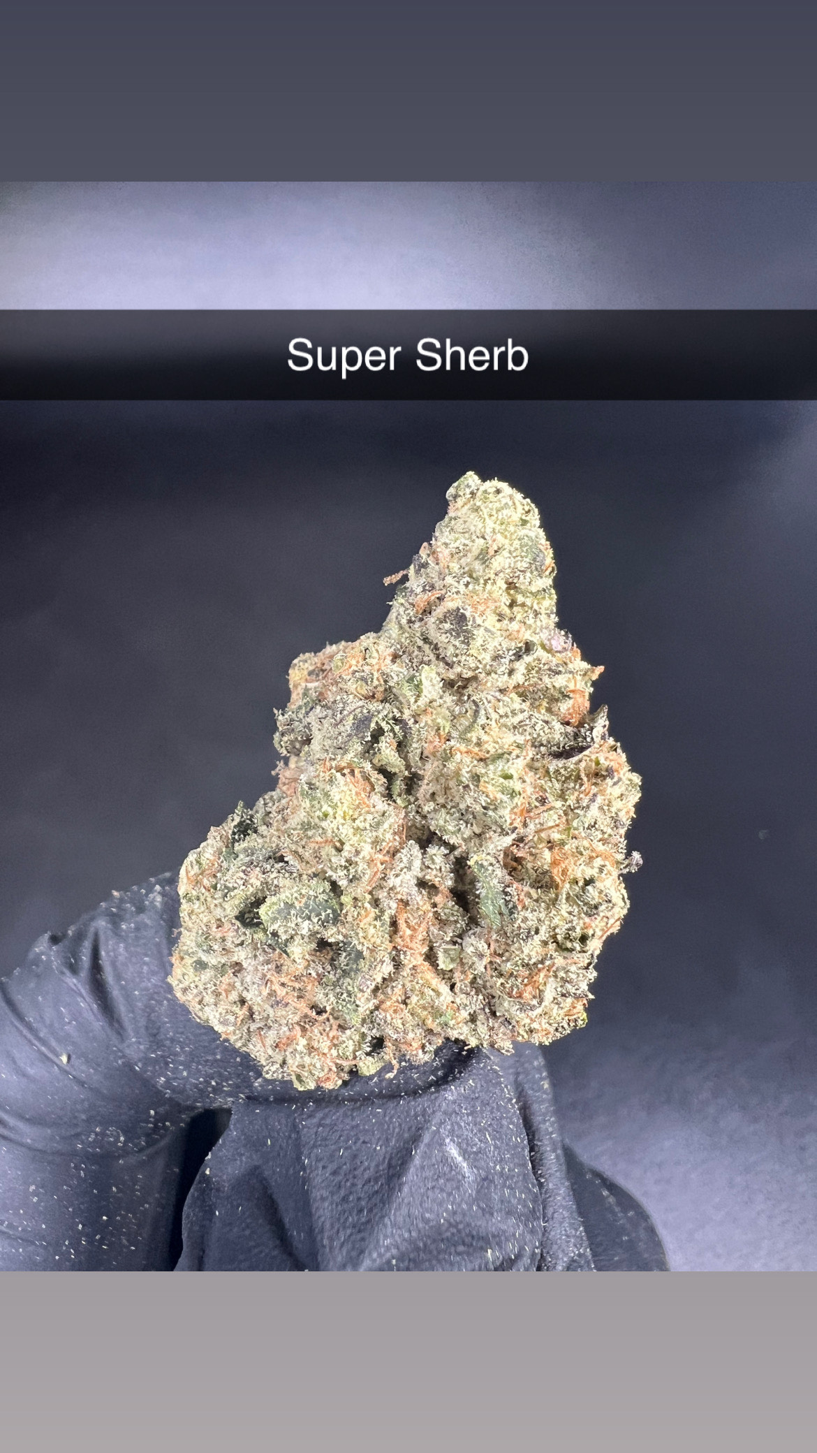 Photograph of product: Super Sherb - Flower - Oui'd - 28g