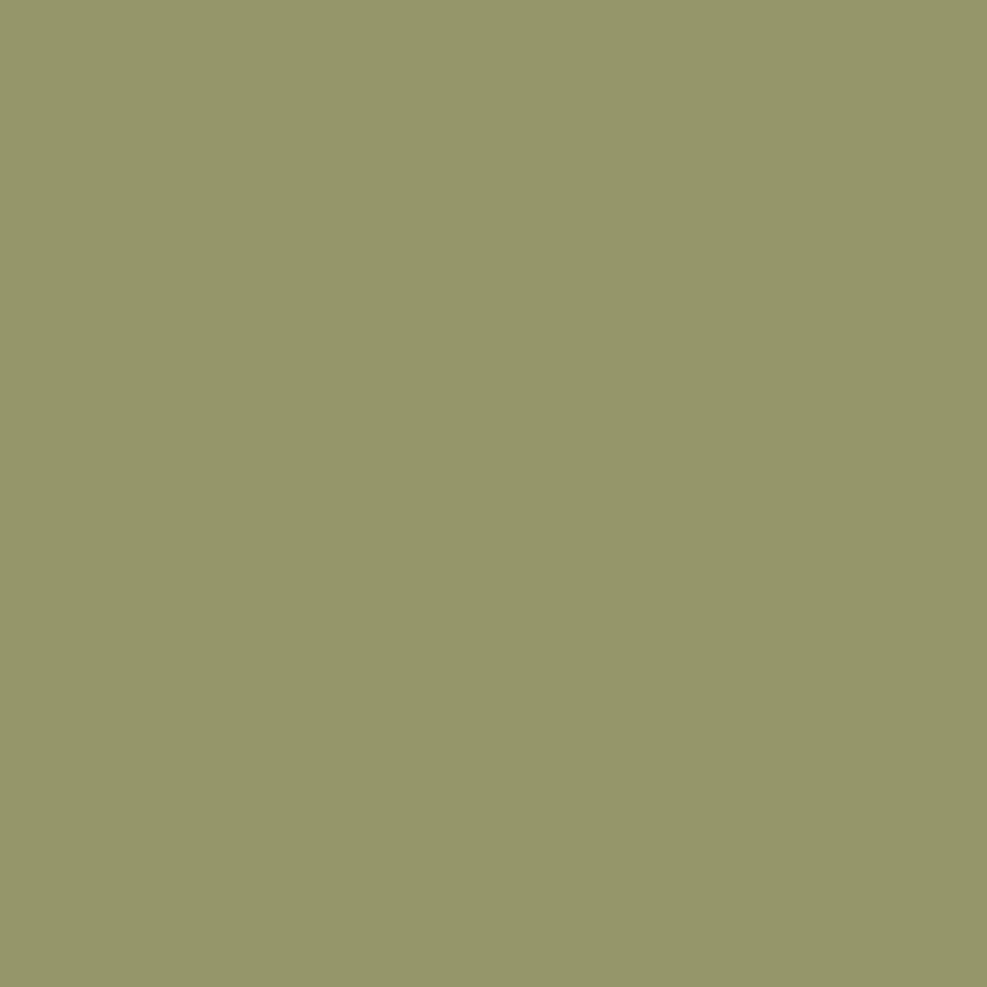 Photograph of Product: Shirt - Tamarack Whitefish $15 - Army Green
