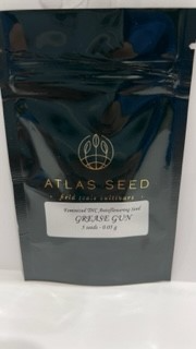 Photograph of product: Grease Gun 5pk Seeds - Atlas Seeds