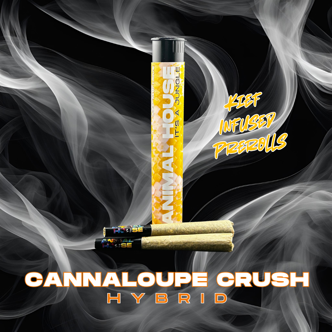 Photograph of product: Animal House | Cannaloupe Crush | .75g 2pk | Kief Infused Preroll