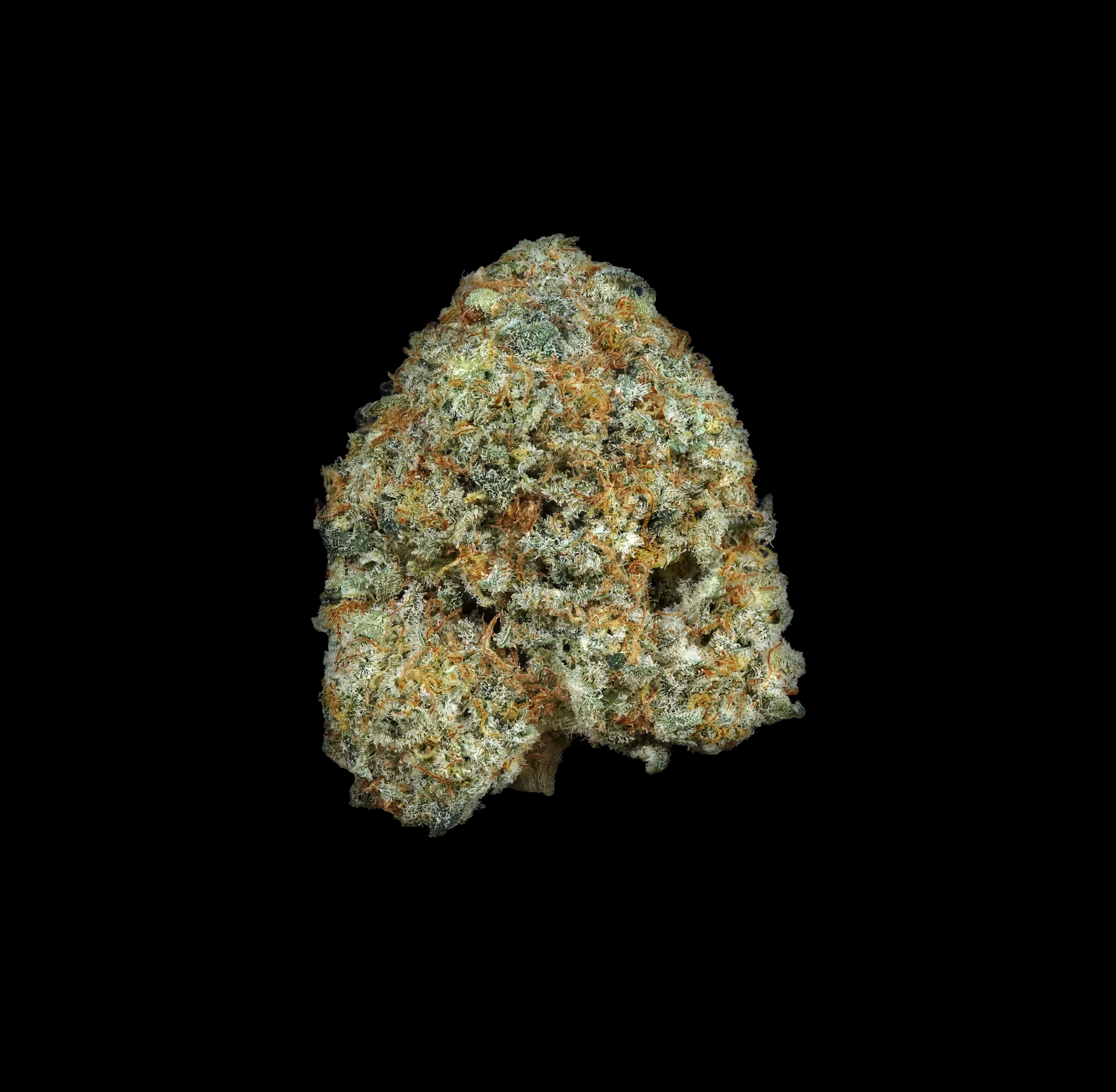 Photograph of product: (BULK) Hawaiian Hammer - Oui'd - 28g
