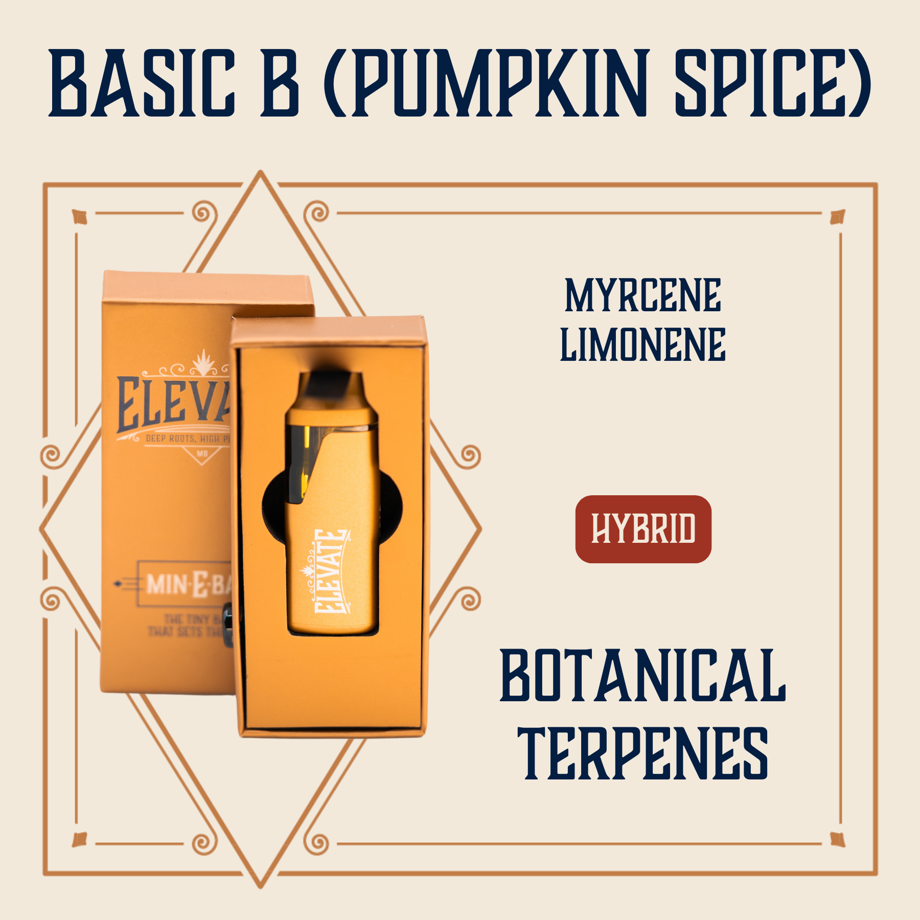 Photograph of product: Basic B (Pumpkin Spice) Limited Edition Botanical Min-E-Bar | 1g
