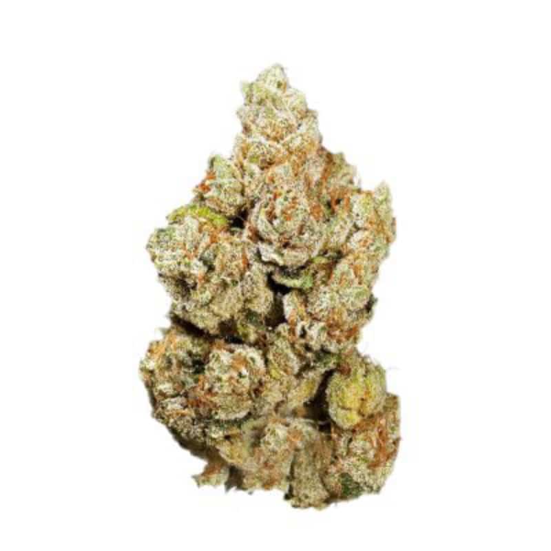 Photograph of product: Codes Tokyo Snow Flower (3.5g)