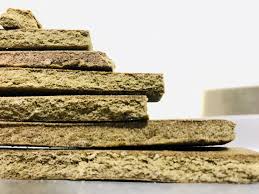 Photograph of product: Greenery | Lebanese au chocolat | - Girl Scout Cookies