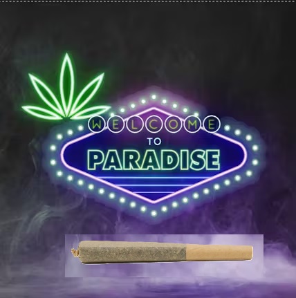 Photograph of product: Paradise Canna Co | Tropical Punch (H) Pre-Roll