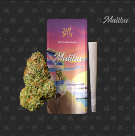 Photograph of Product: MALIBU 1G PREROLL