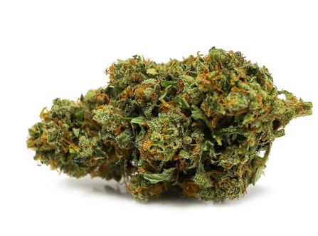Photograph of product: Purple Crash | High Grade - 1g