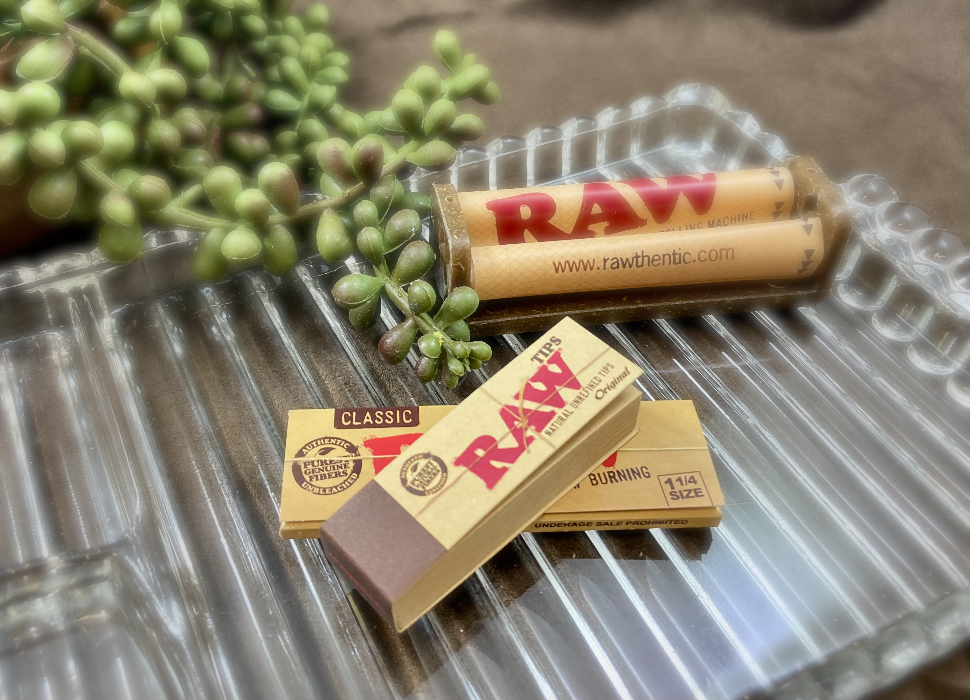 Photograph of product: RAW Original Tips