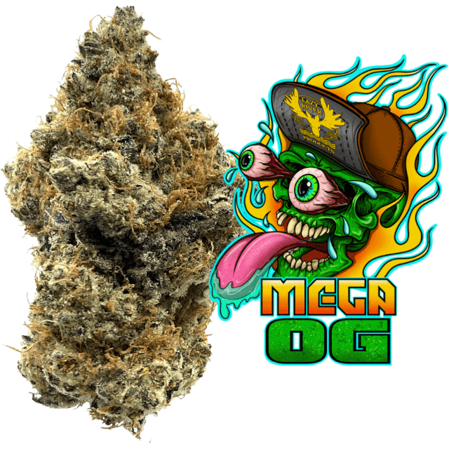 Photograph of product: Mega OG - Buds 3.5g