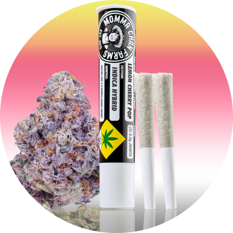 Photograph of product: 2pk PR Lemon Cherry Pop mdl