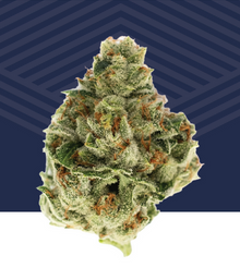 Photograph of product: Scott's OG Flower - 7g