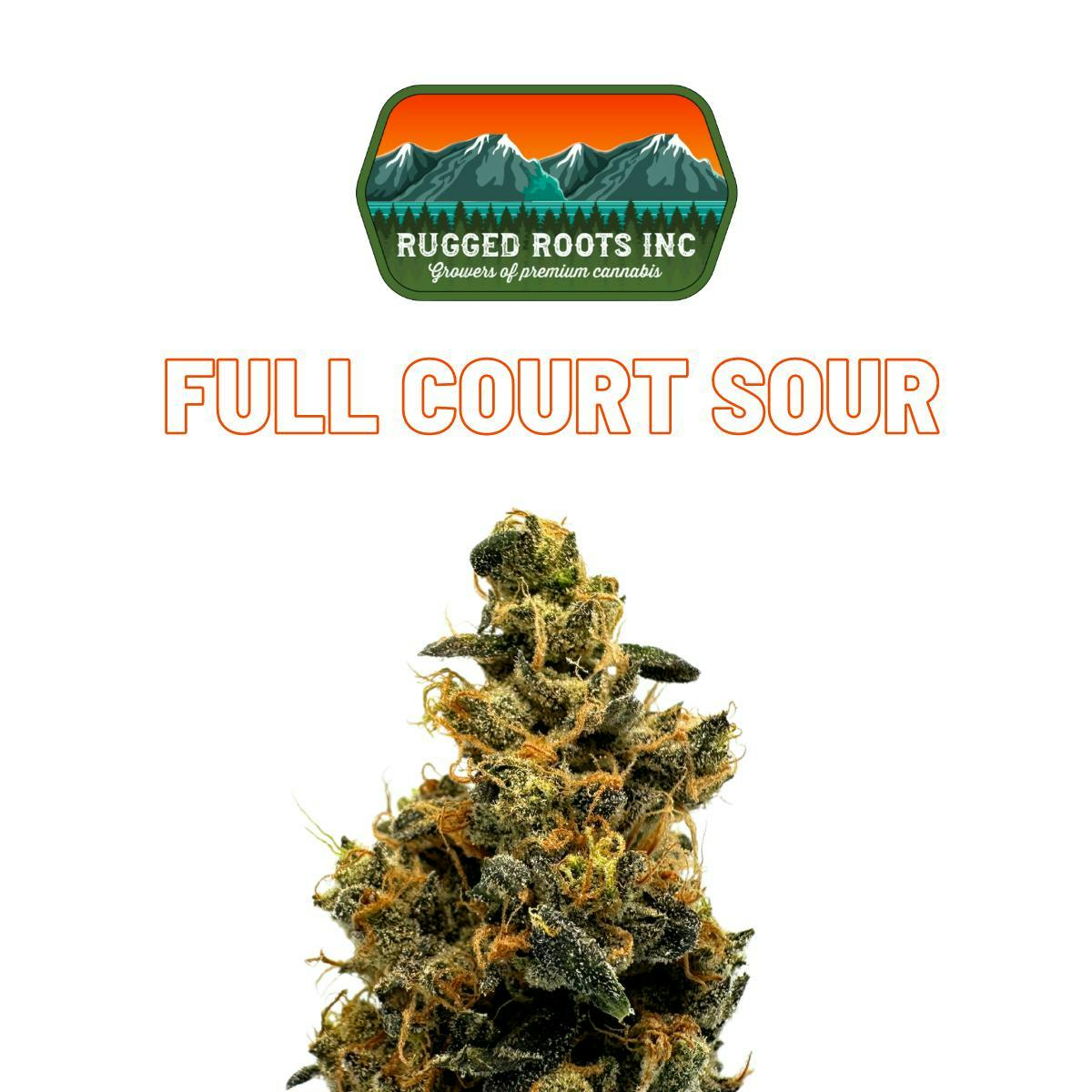Photograph of product: Full Court Sour - 