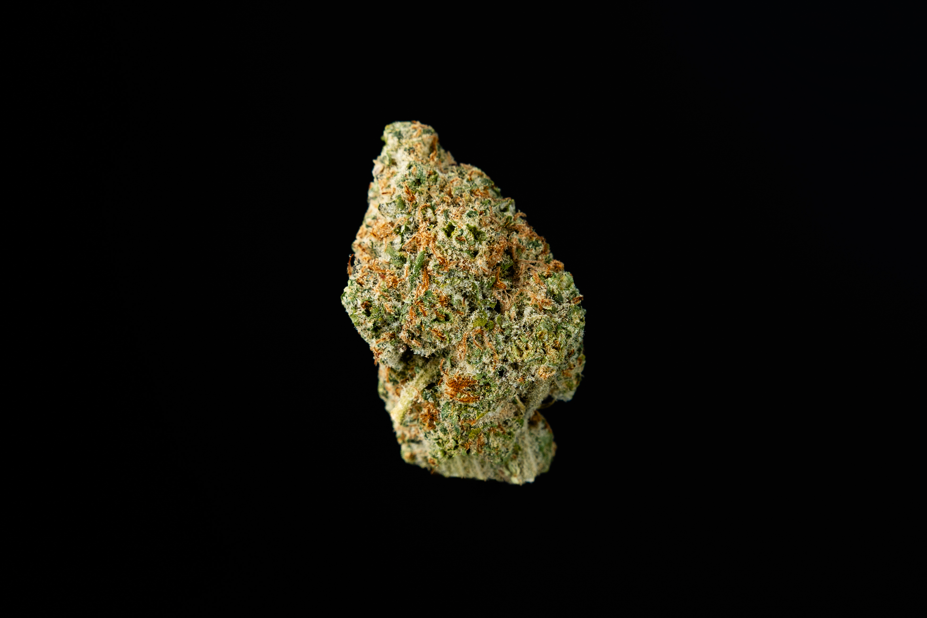 Photograph of product: Blueberry Silvertip - 2g