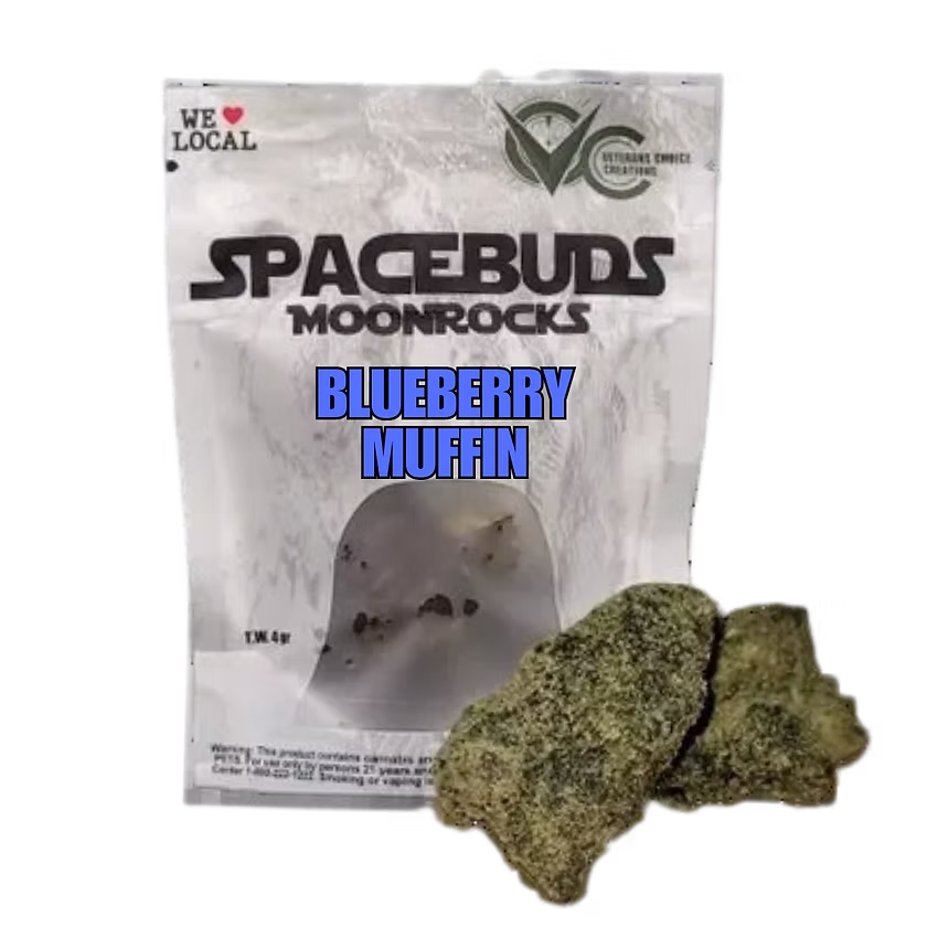 Photograph of product: Spacebuds- Moonrock- Blueberry Muffin