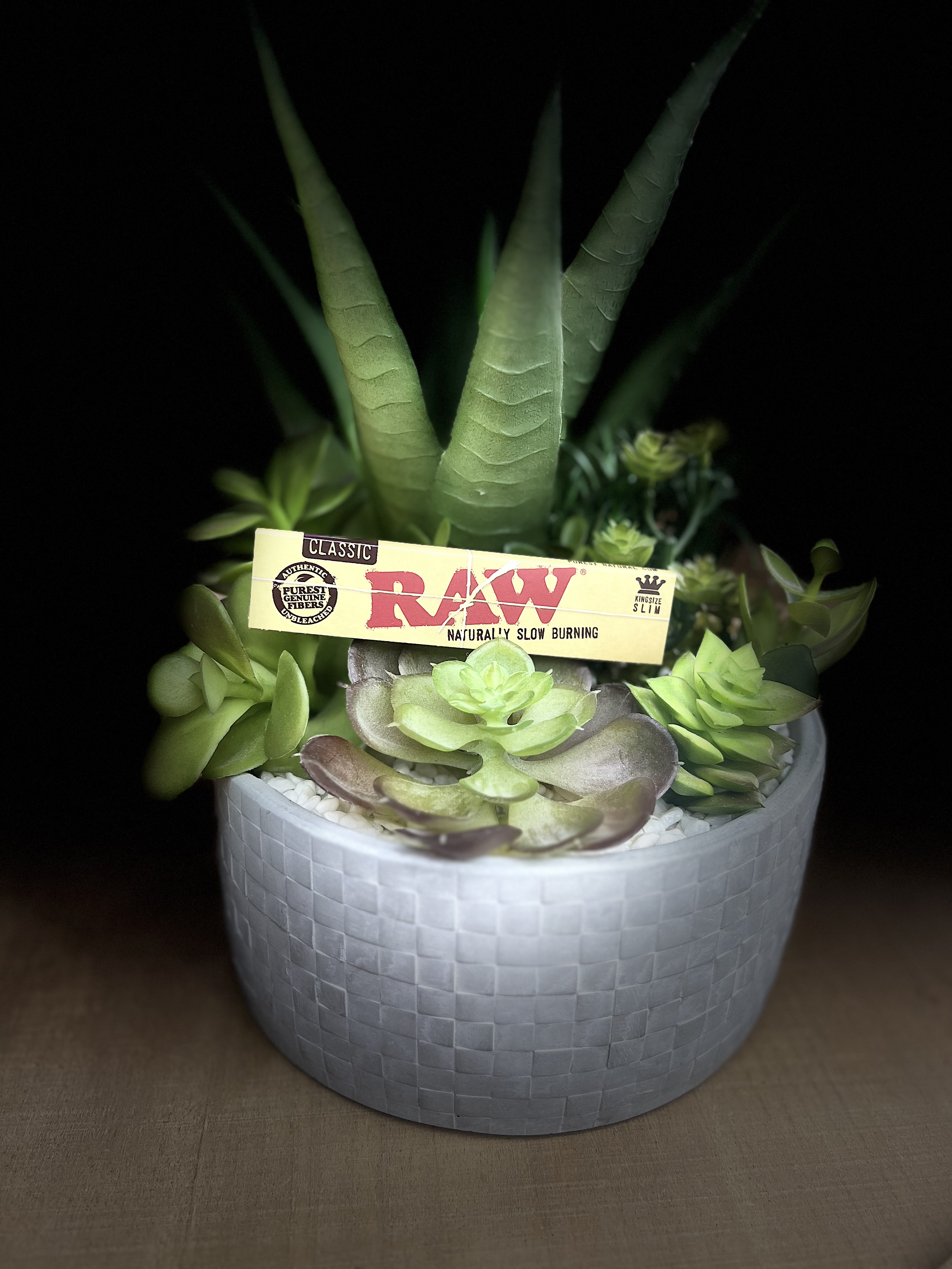 Photograph of product: RAW | 6 Pack 1 1/4 Cones | Organic Hemp
