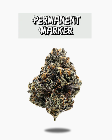 Photograph of product: Oakfruitland Black Label Series Permanent Marker - 3.5g