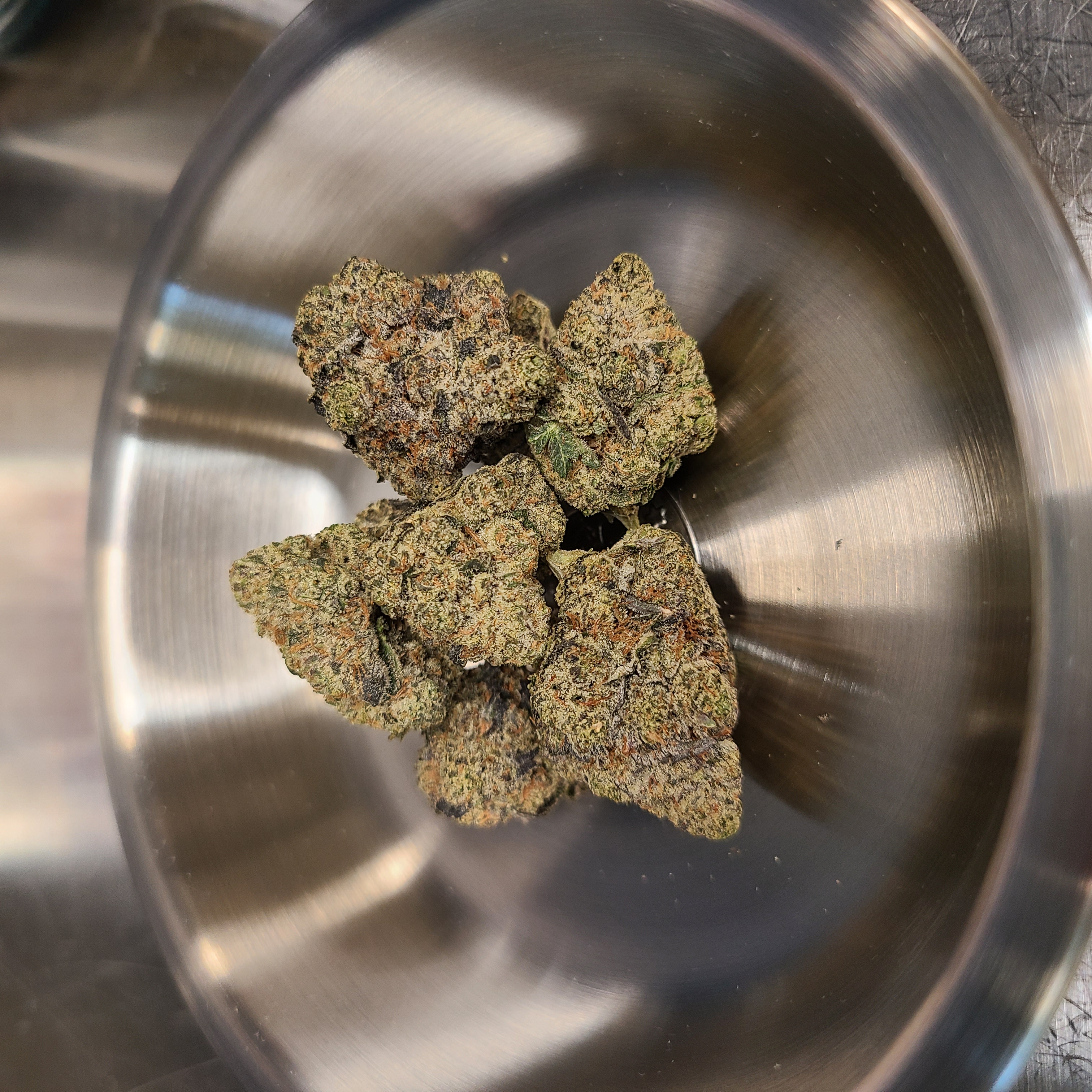 Photograph of product: Cape Cod Grow Lab | Paul Morphy | Deli Style - 14g