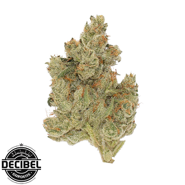 Photograph of product: CALIFORNIA ORANGES - 3.5 G