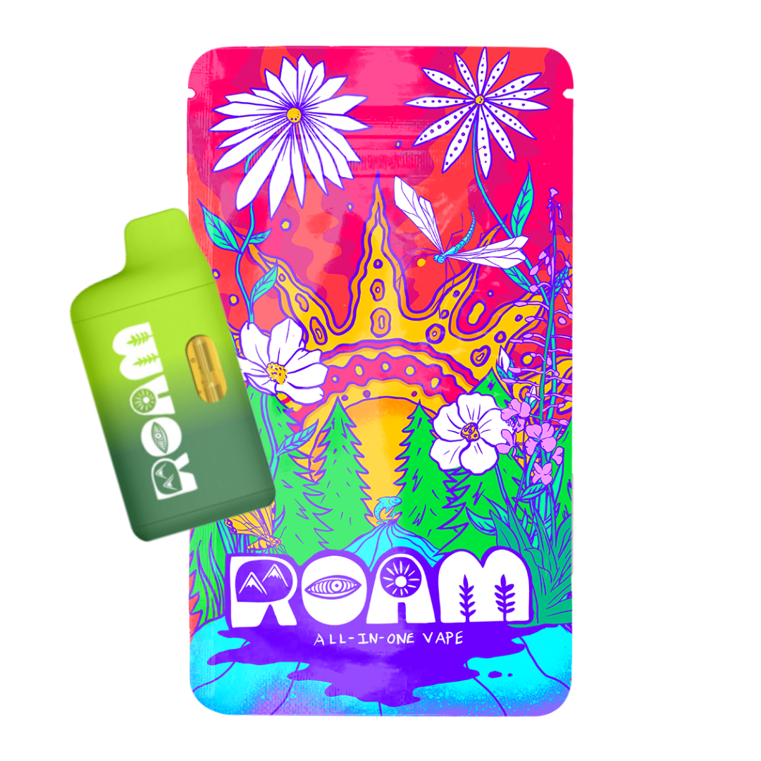 Photograph of product: Roam Lime Sorbet (H) Disposable 1g