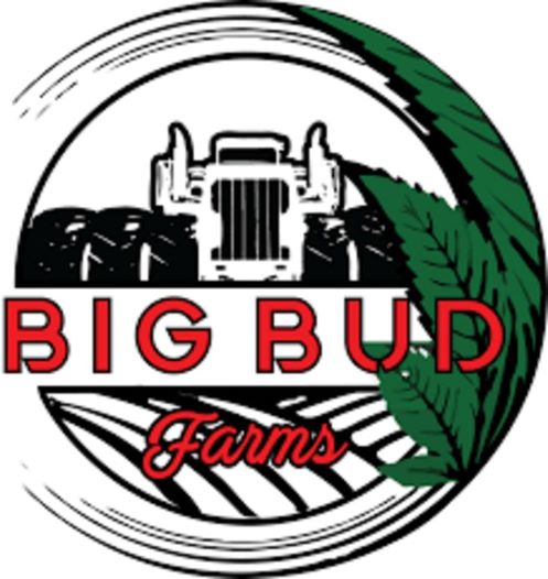 Photograph of Product: BIG BUD FARMS - SUGAR LIVE - 1G - GMO - INDICA