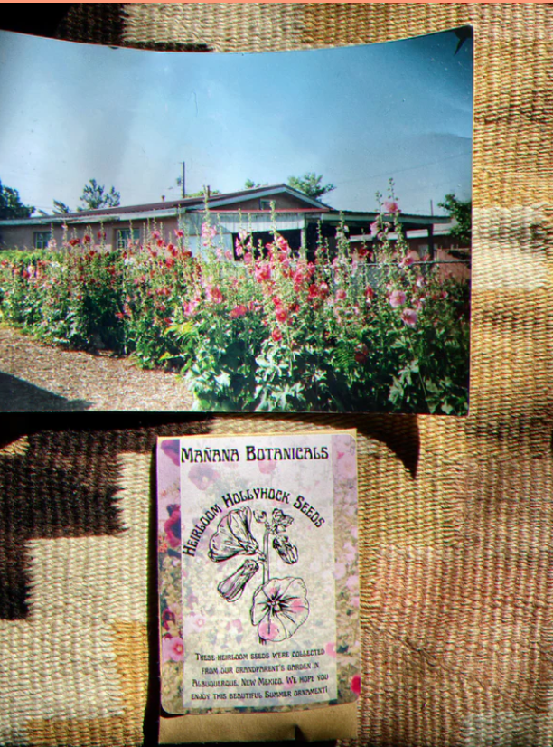 Photograph of product: Heirloom Hollyhock Seeds