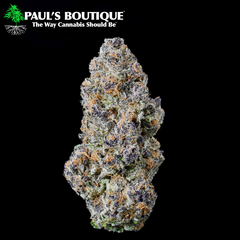 Photograph of product: Georgia Pie (Small Buds) - - AU Paul's Boutique - 14g