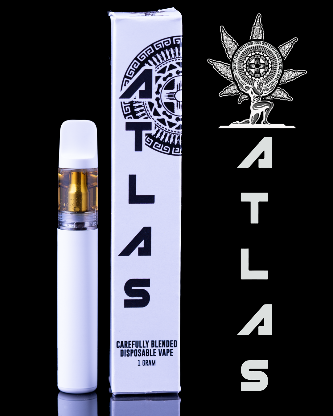 Photograph of product: Atlas | Dispo | Sherbinski Bacio Gelato